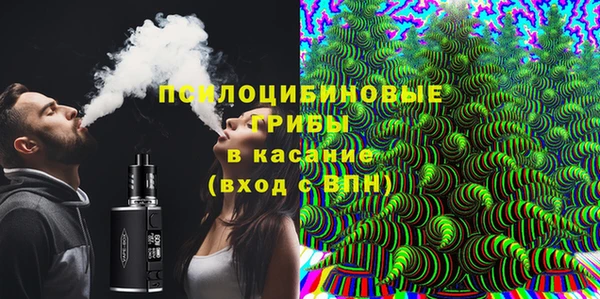 apvp Горно-Алтайск