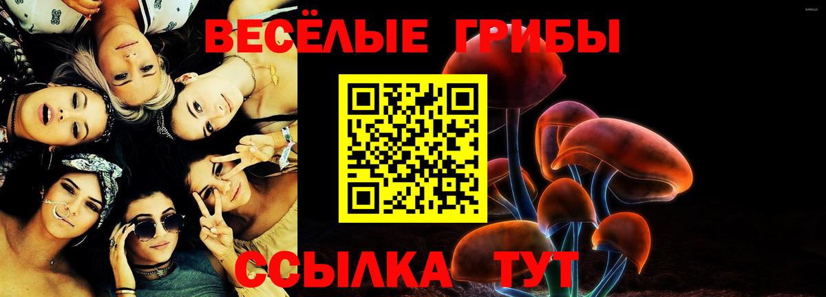 Симферополь  Псилоцибиновые грибы GOLDEN TEACHER  Вход с VPN 